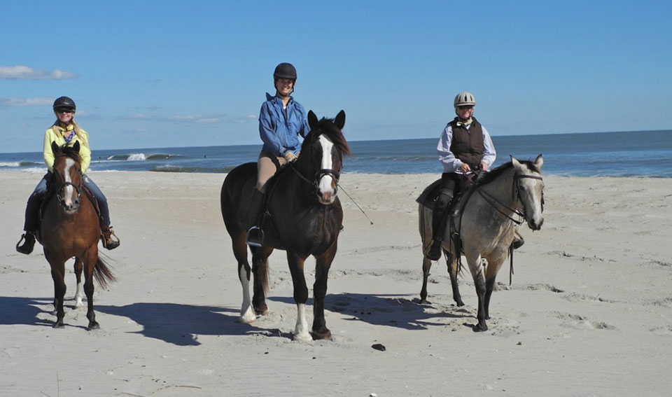 Horseback Riding at Ocean City’s Beach in Ocean City Md