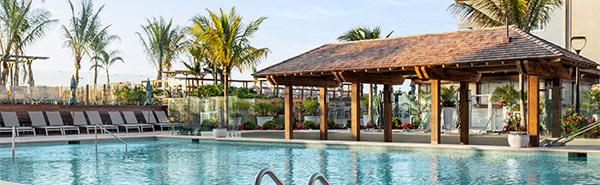 pool with hut bar and palm trees