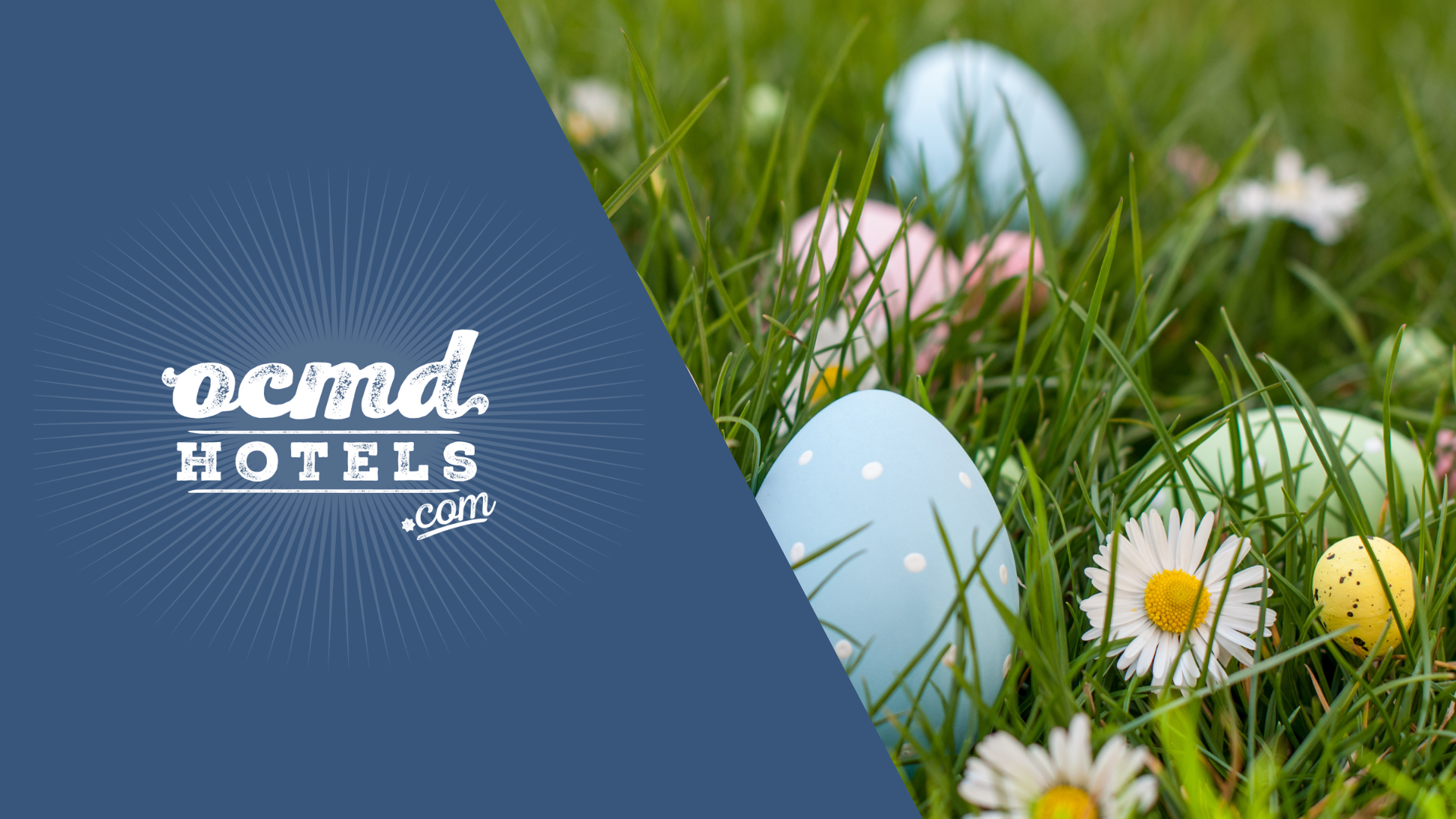 Easter Egg Hunt at Northside Park on April 19th, 2025