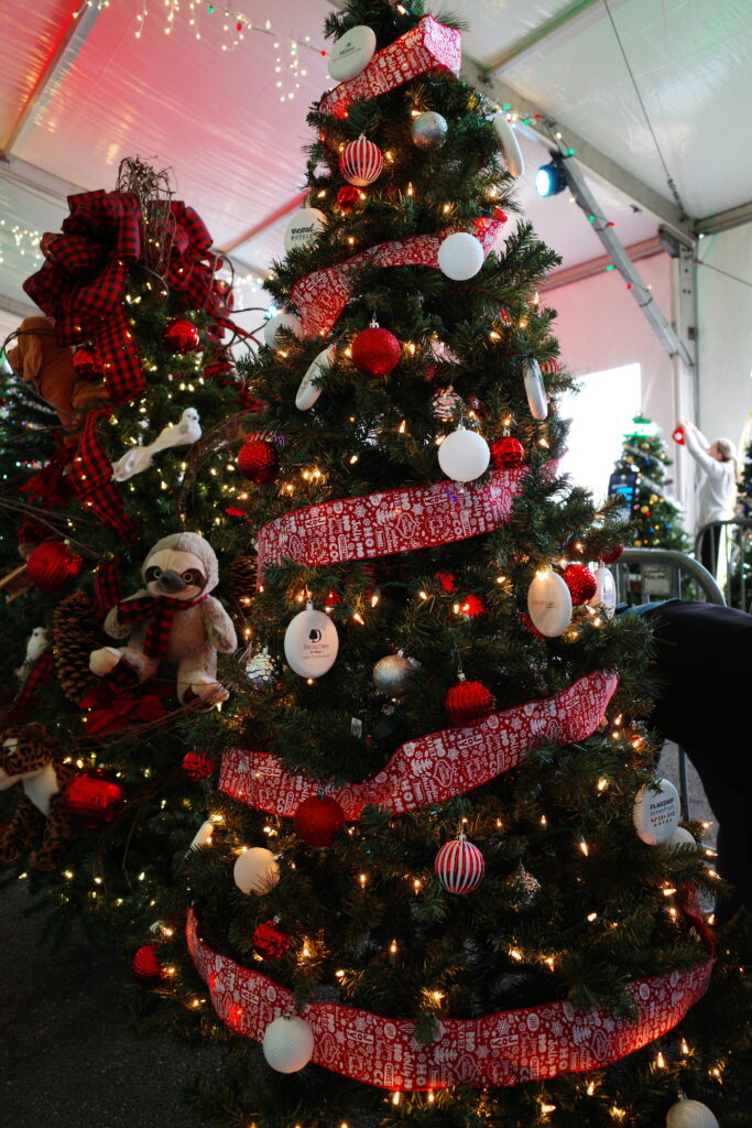 Trees for the Arts at the Winterfest of Lights in Ocean City, MD