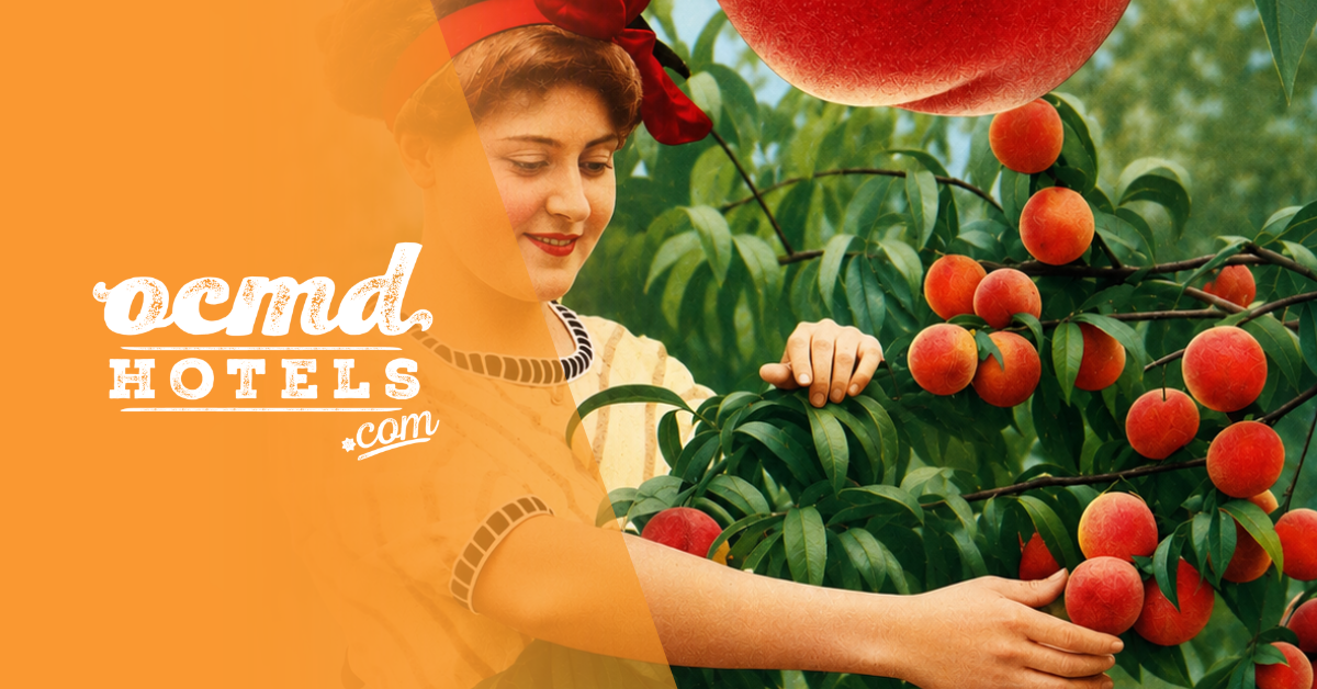 From the Orchard to the Ocean: Celebrate Peach Month in Ocean City